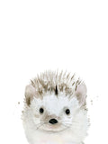 Hedgehog -  Ann Solo - McGaw Graphics