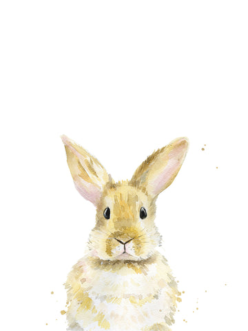 Rabbit -  Ann Solo - McGaw Graphics