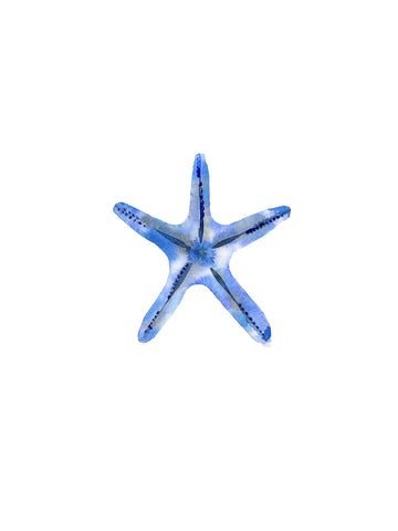 Starfish -  Ann Solo - McGaw Graphics