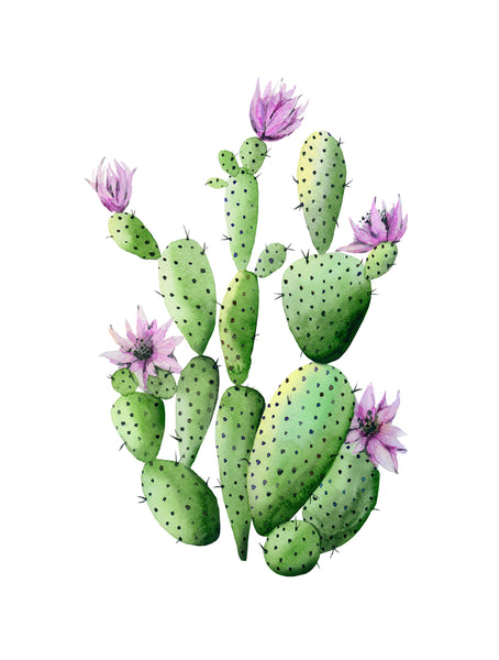 Cactus | McGaw Graphics