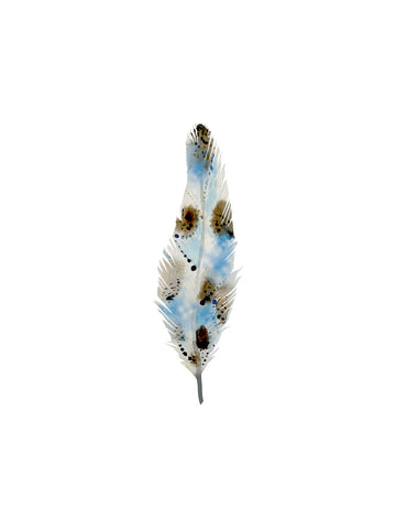 Blue Feather -  Ann Solo - McGaw Graphics