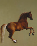 Whistlejacket -  George Stubbs - McGaw Graphics