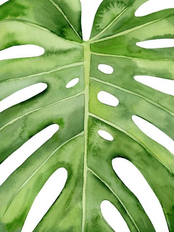 Monstera IV -  Ann Solo - McGaw Graphics