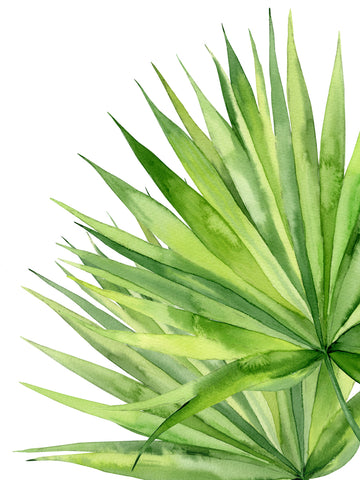 Exotic Leaves -  Ann Solo - McGaw Graphics