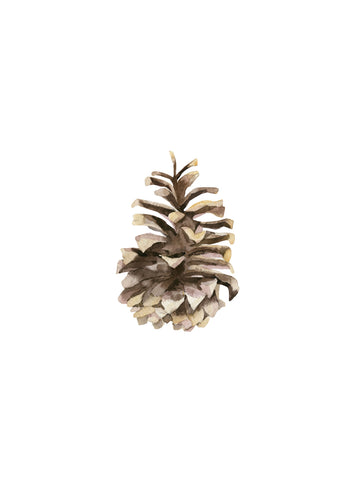Pine Cone II -  Ann Solo - McGaw Graphics