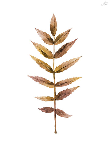 Autumn Leaf II -  Ann Solo - McGaw Graphics