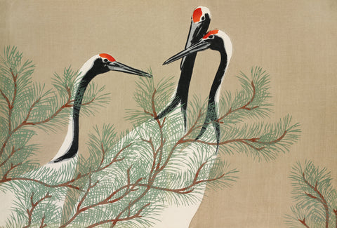 Cranes from Momoyogusa -  Kamisaka Sekka - McGaw Graphics