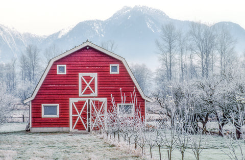 Rural Barn 09 -  Norm Stelfox - McGaw Graphics