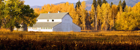 Barn in Fall, Montana -  Jason Savage - McGaw Graphics