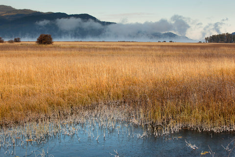 Swan Lake Wildlife Refuge, Montana -  Jason Savage - McGaw Graphics
