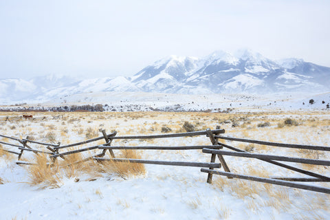 Winter in the Paradise Valley, Montana -  Jason Savage - McGaw Graphics