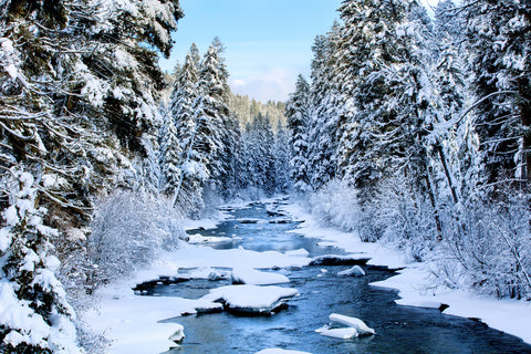 East Fork of the Bitterroot River, Montana -  Jason Savage - McGaw Graphics