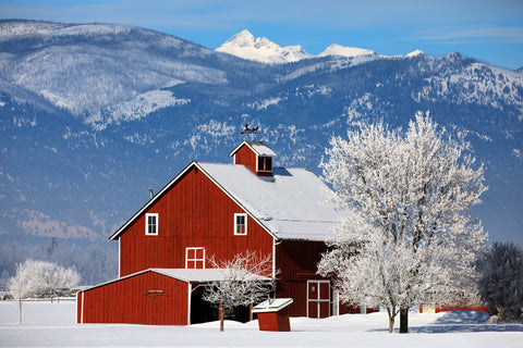 Red Barn on the Teller Wildlife Refuge -  Jason Savage - McGaw Graphics