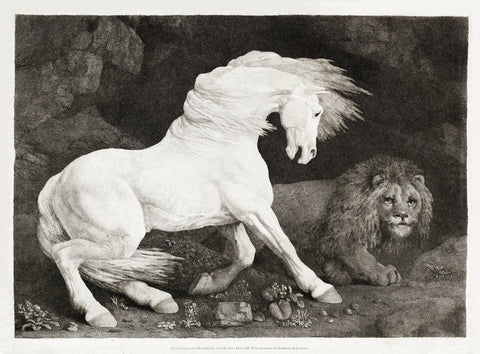 A Horse Affrighted at a Lion, 1788 -  George Stubbs - McGaw Graphics