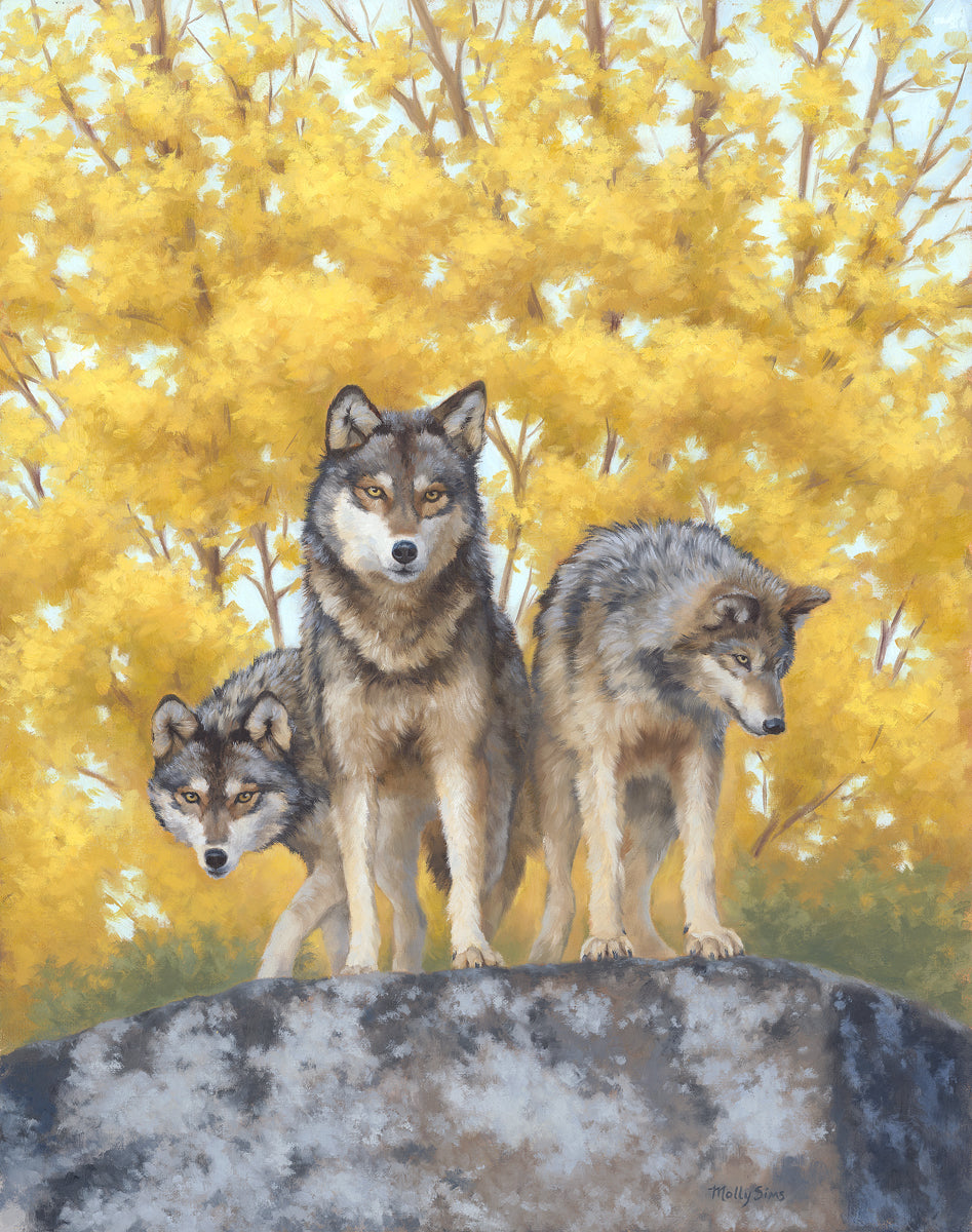 pack of wolves drawing