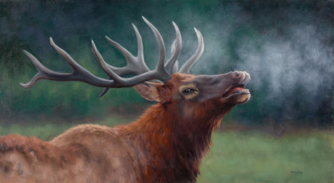 Bugling Elk -  Molly Sims - McGaw Graphics