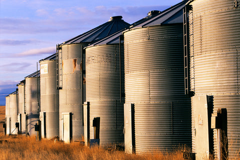 Grain Bins, Morning Light -  Jason Savage - McGaw Graphics