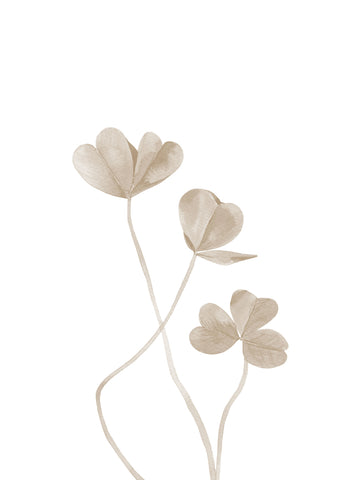 Dried Leaves - Clover 1 -  Ann Solo - McGaw Graphics