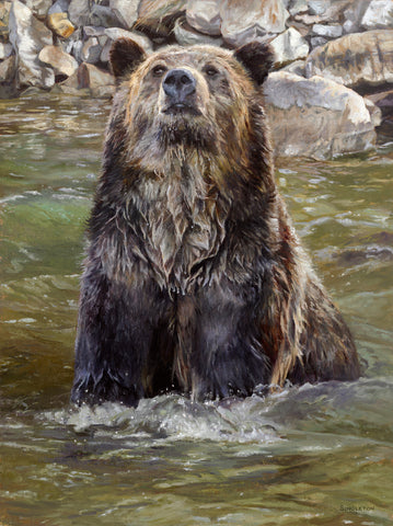 Grizzly Dippin‚Äô -  Kelly Singleton - McGaw Graphics