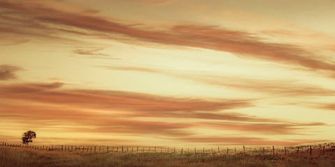 Sunset Along the Fence -  Don Schwartz - McGaw Graphics