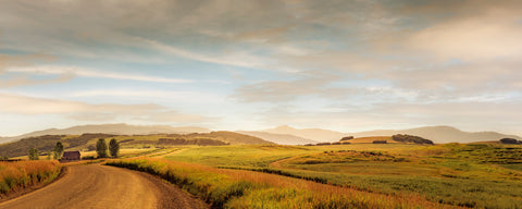 Along a Winding Country Road -  Don Schwartz - McGaw Graphics