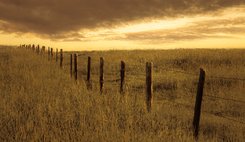 Where the Fence Meets the Sky -  Don Schwartz - McGaw Graphics