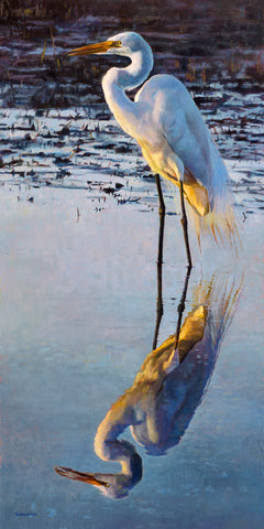 Reflecting Egret
