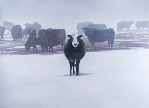 Cows in the Snow -  Todd Telander - McGaw Graphics