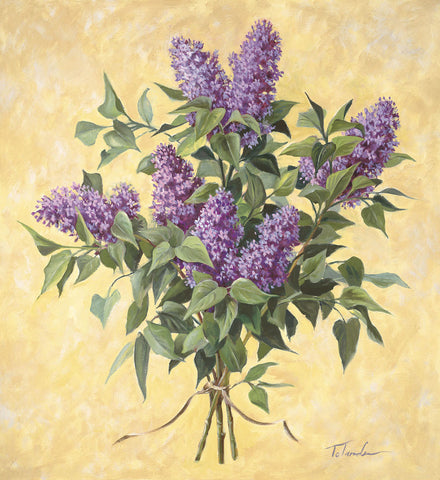 Lilac Season II -  Todd Telander - McGaw Graphics