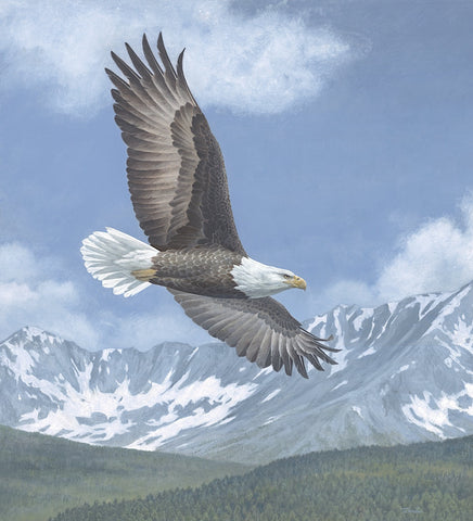 Soaring High -  Todd Telander - McGaw Graphics