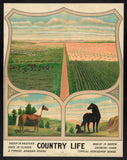 Country Life, c. 1904 -  Vintage Reproduction - McGaw Graphics