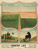 Country Life, c. 1904 -  Vintage Reproduction - McGaw Graphics