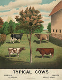 Typical Cows, c. 1904 -  Vintage Reproduction - McGaw Graphics