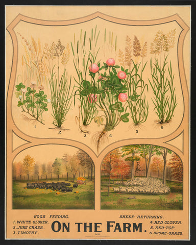 On the Farm, c. 1904 -  Vintage Reproduction - McGaw Graphics