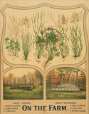 On the Farm, c. 1904 -  Vintage Reproduction - McGaw Graphics