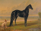 America’s Renowned Stallions, c. 1876 I -  Vintage Reproduction - McGaw Graphics
