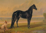 America’s Renowned Stallions, c. 1876 I -  Vintage Reproduction - McGaw Graphics