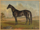 America’s Renowned Stallions, c. 1876 II -  Vintage Reproduction - McGaw Graphics