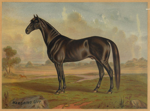 America’s Renowned Stallions, c. 1876 II -  Vintage Reproduction - McGaw Graphics