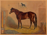 America’s Renowned Stallions, c. 1876 III -  Vintage Reproduction - McGaw Graphics