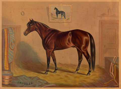 America’s Renowned Stallions, c. 1876 III -  Vintage Reproduction - McGaw Graphics