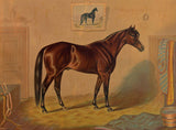 America’s Renowned Stallions, c. 1876 III -  Vintage Reproduction - McGaw Graphics