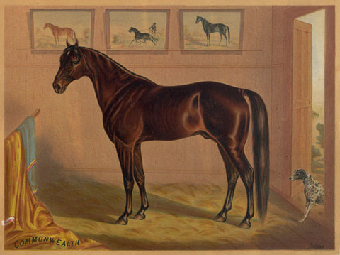 America’s Renowned Stallions, c. 1876 IV -  Vintage Reproduction - McGaw Graphics