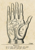 Palmistry: Palm Diagram -  Vintage Reproduction - McGaw Graphics
