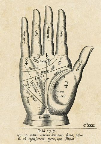 Palmistry: Palm Diagram -  Vintage Reproduction - McGaw Graphics