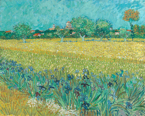 Field with Flowers Near Arles, 1888 -  Vincent van Gogh - McGaw Graphics