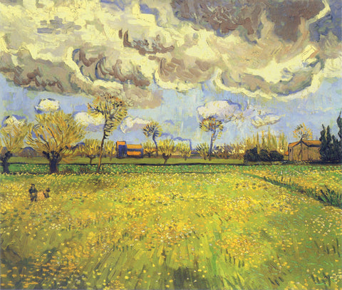 Meadow with Flowers under a Stormy Sky, 1888 -  Vincent van Gogh - McGaw Graphics
