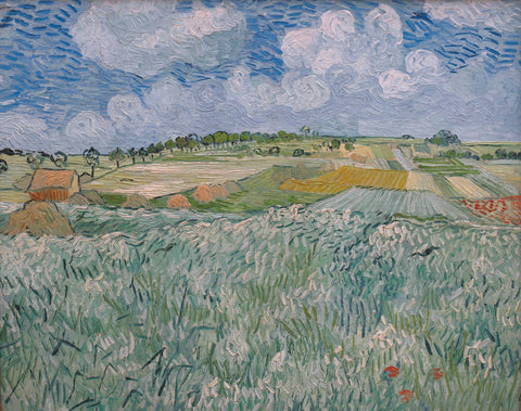 Plain Near Auvers, 1890 -  Vincent van Gogh - McGaw Graphics