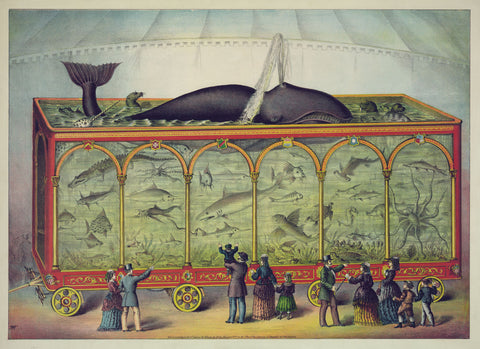 The Aquarium -  Vintage Reproduction - McGaw Graphics