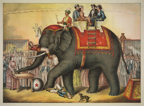 Performing Elephant -  Vintage Reproduction - McGaw Graphics